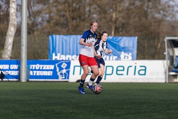 Bild 404 - wBJ Hamburger SV - Hertha BSC : Ergebnis: 2:1